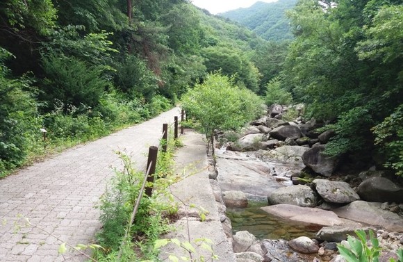 천동계곡 전경. ⓒ 산림청