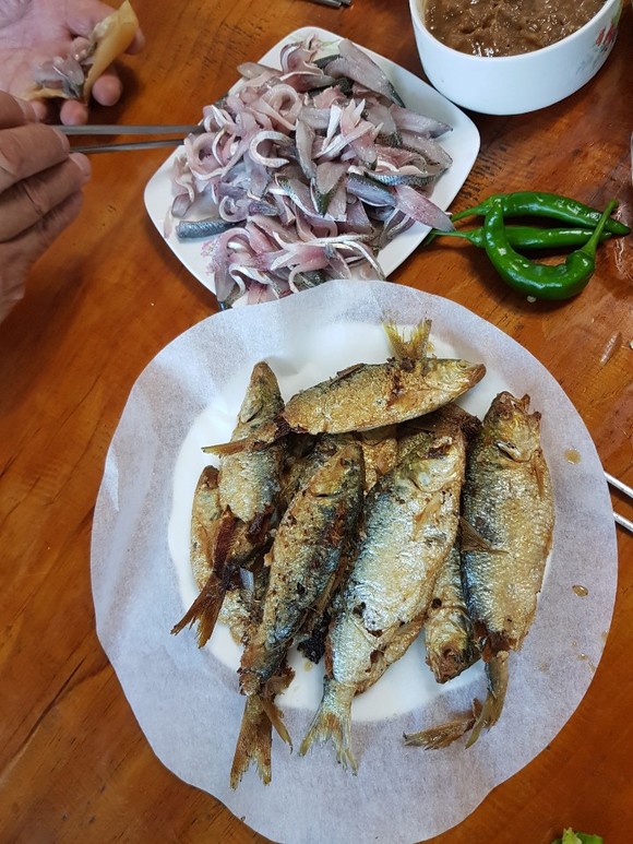 하동 햇 전어 구이와 회. ⓒ 프라임경제