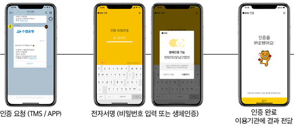 카카오페이 인증 서비스 개념도. ⓒ 과학기술정보통신부