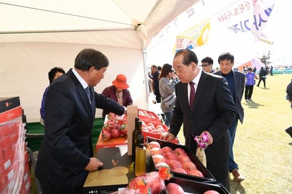 지난 제15회 황토사과축제 모습. ⓒ 예산군