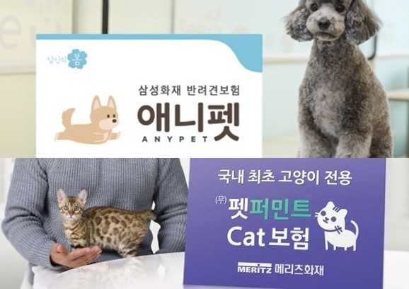 보험업계가 반려동물들을 위한 상품들을 앞 다퉈 출시하고 있다. ⓒ 각사