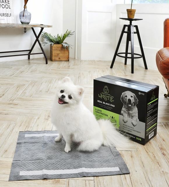 휘슬의 올해 1~3분기 매출이 전년 동기 대비 119.1% 성장했다. ⓒ 애경산업