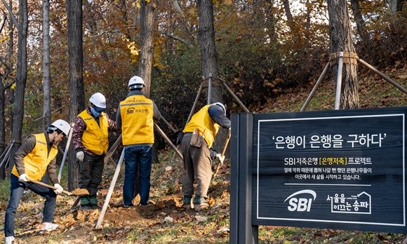 SBI저축은행이 인간과 자연의 공존을 제시하기 위한 사회공헌 캠페인 '은행저축프로젝트'의 암은행나무 이식사업을 진행했다. ⓒ SBI저축은행