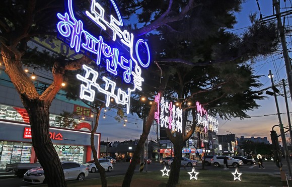 녹지대 야간 경관 조명. ⓒ 보령시