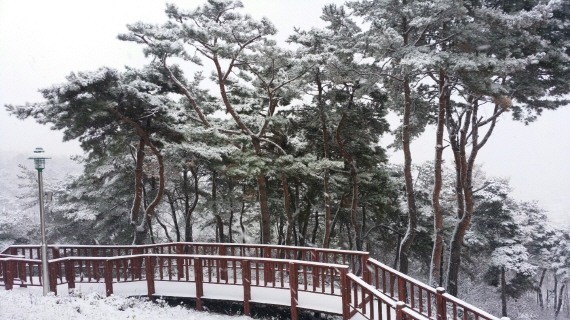 ⓒ 예산군