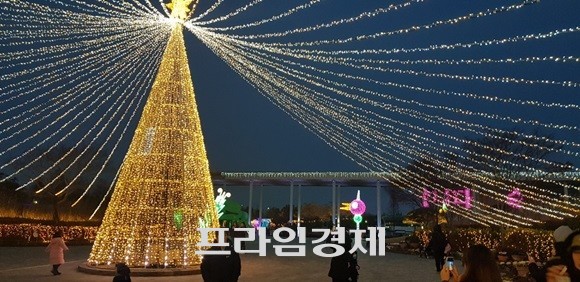 국가정원 서문광장으로 입장하면 가장 먼저 보이는 '대형트리'. ⓒ 순천시