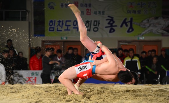 홍성 설날장사 씨름대회 경기장면. ⓒ 홍성군
