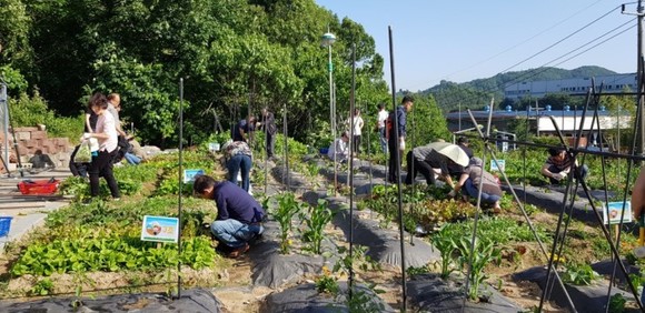 2019년 계룡농업대학 텃밭가꾸기 운영모습. ⓒ 계룡시