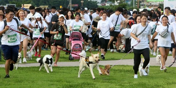 지난해 8월17일 오후 강원 강릉시 경포호수공원에서 반려견 축제 '썸머 댕댕런'이 열려 참가자들과 반려견들이 힘차게 출발하는 모습. ⓒ 연합뉴스