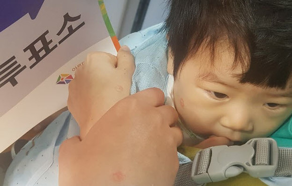 후속 세대를 위해 새로운 미래를 연다는 각오로 21대 국회가 일해야 한다는 당부가 높다. 사진은 한 투표소에서 유권자들이 손과 뺨 그리고 아기의 얼굴에 기표 도장으로 투표 기념 흔적을 남긴 모습. ⓒ 프라임경제