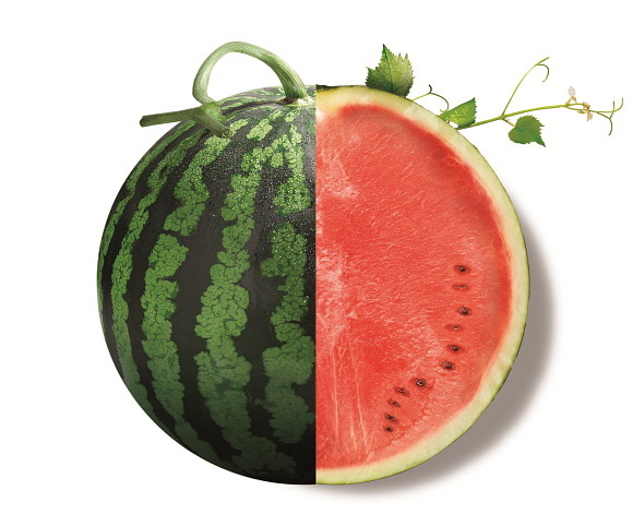 이마트가 1만원 미만으로 기획한 수박을 비롯해 에어컨, 나들이 먹거리 등 뜨거운 여름나기 준비를 시작했다. ⓒ 이마트