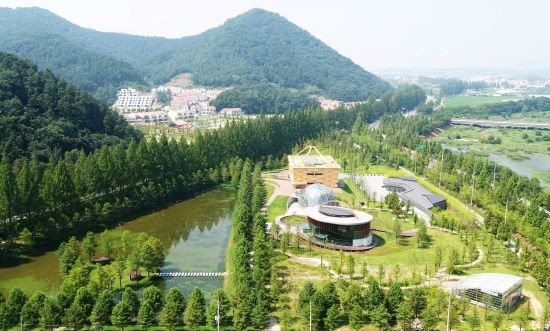 담양군 메타세쿼이아랜드 전경. ⓒ 담양군