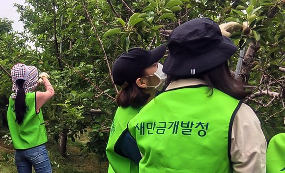 봉사활동 모습. ⓒ 새만금개발청
