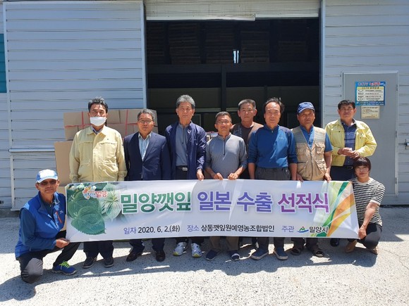 밀양 깻잎 일본 수출 선적식. ⓒ 밀양시
