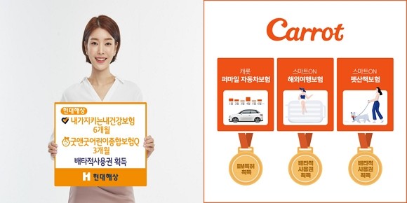 올 상반기 '배타적 사용권'은 손보사와 생보사에서 각각 12건, 1건을 획득했다. 손보사에서 획득한 사용권 대부분은 현대해상(5건), 캐롯손해보험(4건)에서 차지했다. ⓒ 현대해상·캐롯손해보험