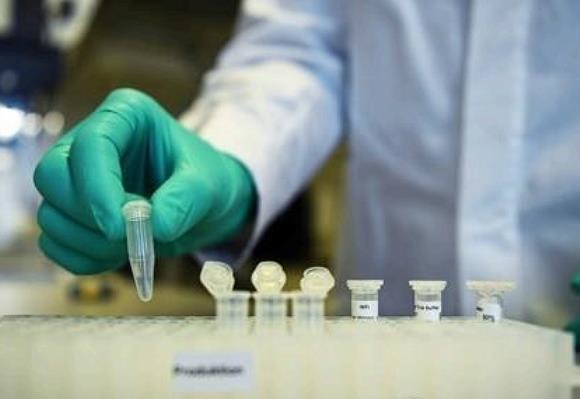 미국 행정부 보건 당국이 올 여름 말, 잠재적인 코로나19 백신 생산을 개시하겠다고 밝혔다. ⓒ 연합뉴스