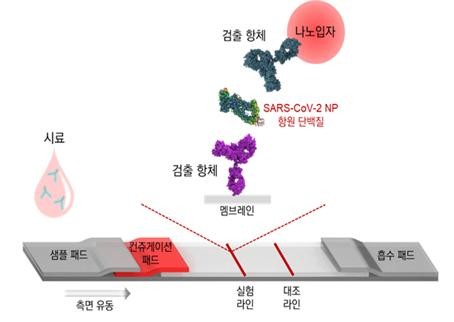 코로나19 바이러스 항원 신속진단 기술 모식도. ⓒ 과학기술정보통신부