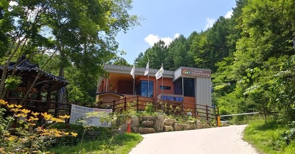 김천 수도산 치유의숲. ⓒ 산림청