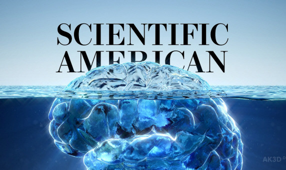 Scientific America 잡지의 Brain 일러스트. ⓒ 허달