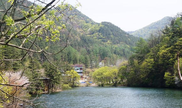 속리산 말티재 명품숲(저수지, 자연휴양림). ⓒ 산림청