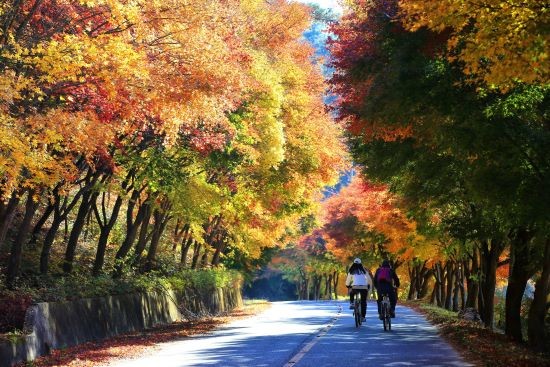백아산 수양로. ⓒ 화순군