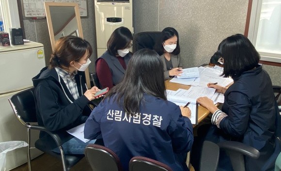 합법목재 교역촉진제도 합동 현장점검 모습. ⓒ 산림청