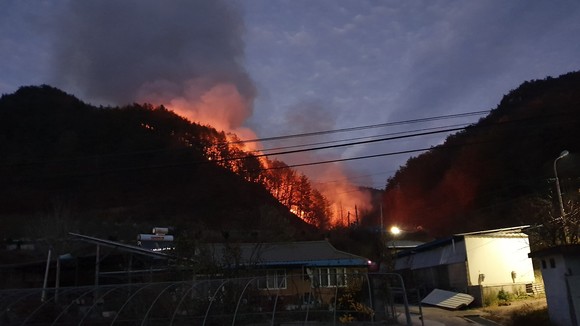 경북 영양군 일월면 문암리에서 산불 발생모습. ⓒ 산림청