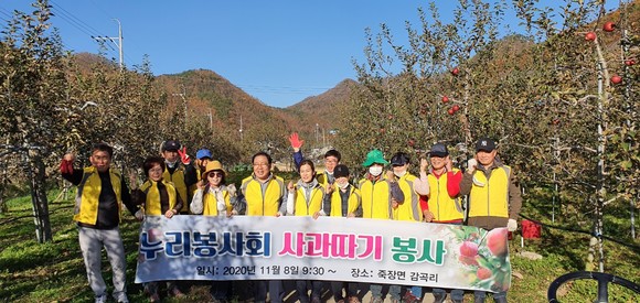 8일 포항누리봉사회 회원들이 포항죽장면 감곡리에서 사과따기 봉사활동을 펼쳤다. = 최성필기자