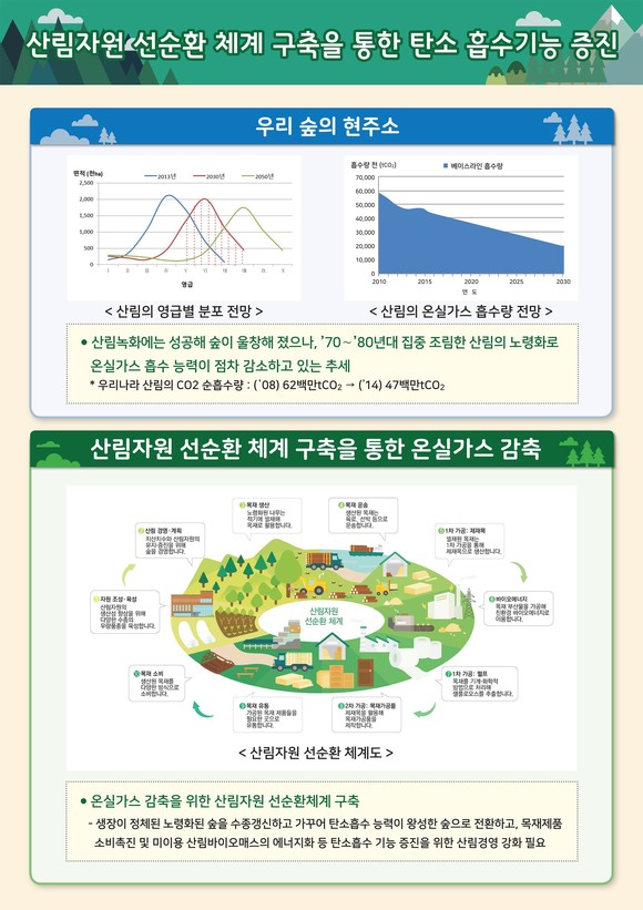 산림자원 선순환 체계 구축을 통한 탄소 흡수기능 증진 이미지. ⓒ 산림청