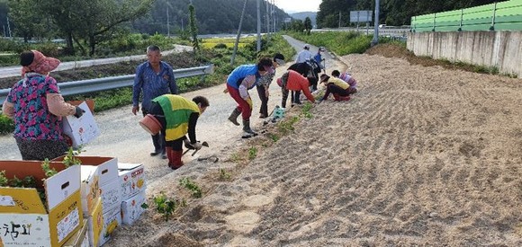 창조적 마을가꾸기 사업. ⓒ 의령군