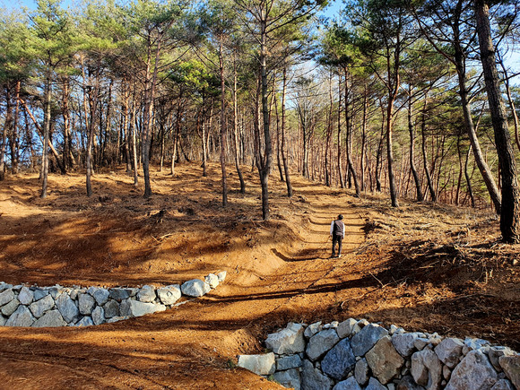 응봉산 선도산림경영단지 조성지. ⓒ 의령군