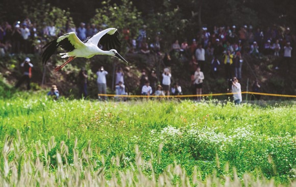 예산황새공원. ⓒ 예산군