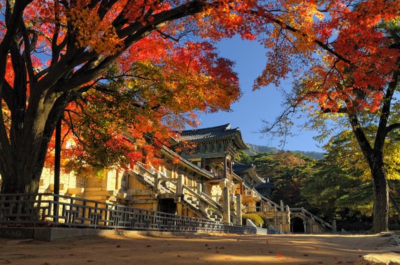 경주 불국사 전경. Ⓒ 경주시