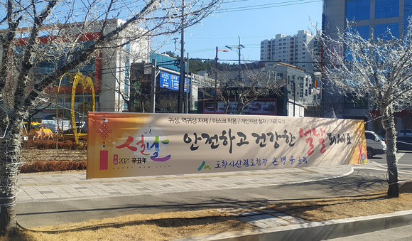 9일 경북 포항시 북구 장성동 두산 위브아파트 사거리에 설치된 포항시산림조합 불법현수막 모습. = 최성필 기자