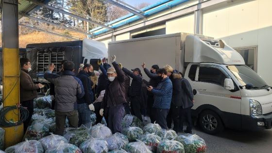 청학골 취나물 경매. ⓒ 하동군
