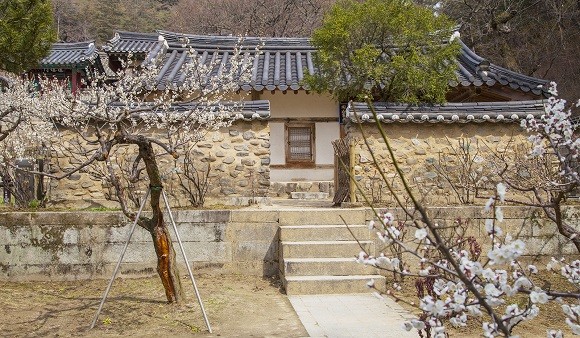 안동 도산서원이 보물 2105호로 지정됐다. ⓒ 안동시