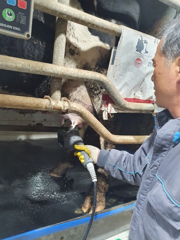사천시가 추진하는 젖소 유두 자동세척기 사업. ⓒ 사천시