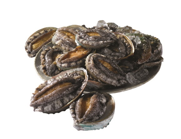 이마트가 해양수산부와 손잡고 1일부터 7일까지 신세계포인트 회원을 대상으로 국산 '한가득 활 전복'을 40% 할인해 판매한다. © 이마트