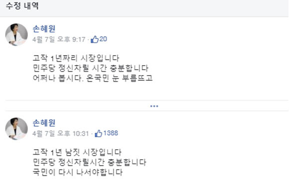 손혜원 전 의원은 7일 "고작 1년 남짓 시장"이라고 게재해 논란이 생겼다. ⓒ 손혜원 전 의원 SNS 계정