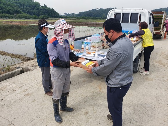 고품질 쌀 주산지 금성면. ⓒ 하동군