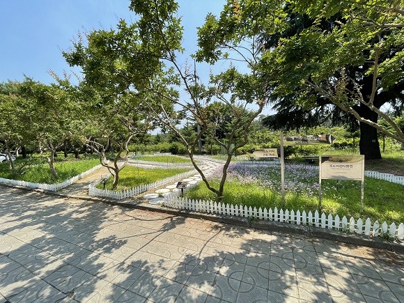 영남대학교 내에 조성돼 있는 독도자생식물원. ⓒ 경북도