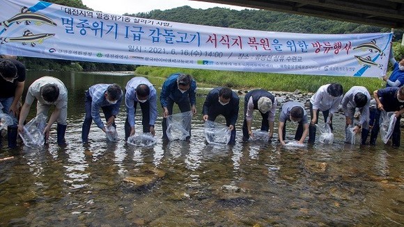 대전시는 지난 16일 '감돌고기' 3차 복원 방류행사를 개최했다. ⓒ 대전시