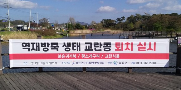 토종 생태환경 보호위해 생태교란종 퇴치사업 전개 현수막 모습. ⓒ 홍성군
