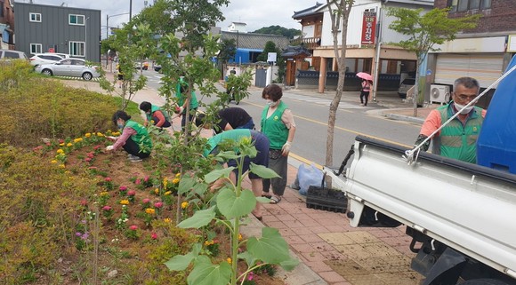 공주시 중학동은 22일 '꽃동네 새고을' 여름 꽃을 식재했다. ⓒ 공주시