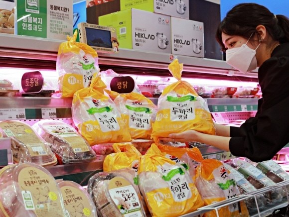 롯데마트가 '자이언트 수산물'을 앞세워 초복맞이 다양한 여름 보양식을 선보인다. © 롯데쇼핑