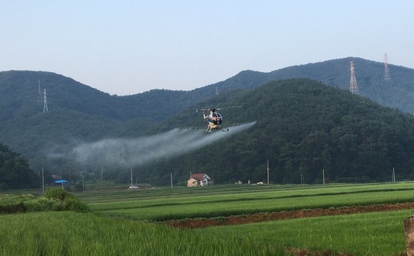 항공방제 모습. ⓒ 보령시