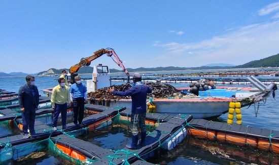완도군-전라남도 합동대책반은 지난 21일 고수온 피해 우심 지역 현장 점검을 실시했다. ⓒ 완도군