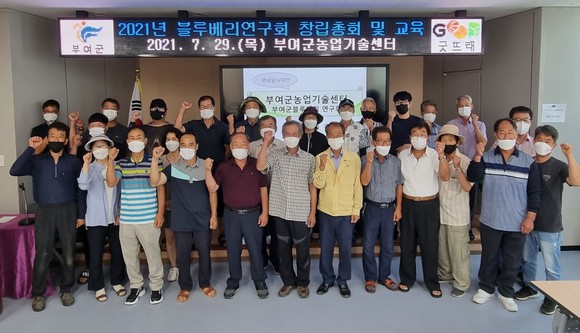 부여군농업기술센터는 지난 29일 부여군블루베리연구회 창립총회를 개최 후 단체 기념촬영을 하고 있다. ⓒ 부여군