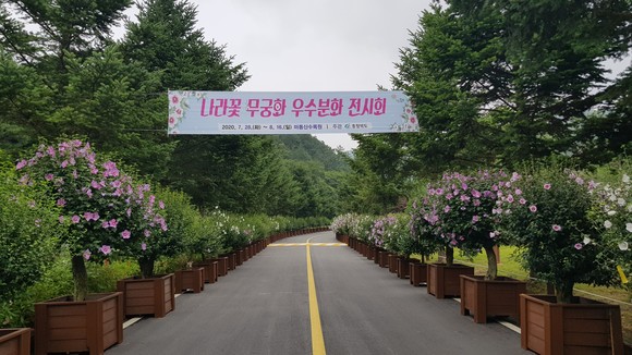 2020 무궁화 전시회. ⓒ 충북도