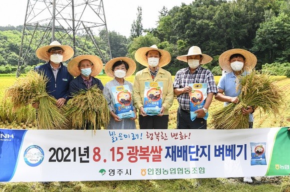 영주시 농민들과 기관단체장들이 수확한 벼를 들고 기념촬영을 하고 있다. ⓒ 영주시청
